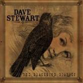 Dave Stewart : The Blackbird Diaries